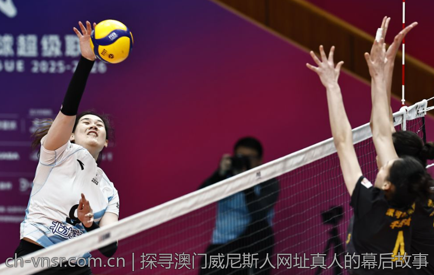 探寻澳门威尼斯人网址真人的幕后故事